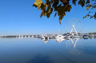 517 Overlook Park Dr, Oxon Hill, MD 20745 - Photo 49