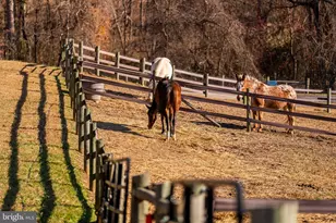 19209 Croom Rd, Brandywine, MD 20613 - Photo 49