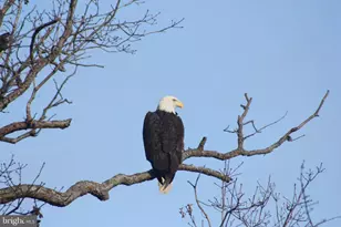 8220 Waterside Ct, Fort Washington, MD 20744 - Photo 63