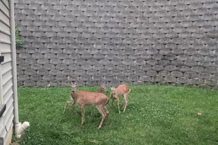 8220 Waterside Ct, Fort Washington, MD 20744 - Photo 61