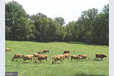 15701 Doctor Bowen Road, Brandywine, MD 20613 - Photo 65