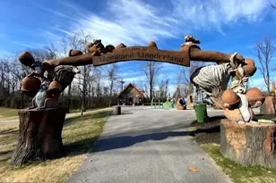 510 Millwoof Dr, Capitol Heights, MD 20743 - Photo 41