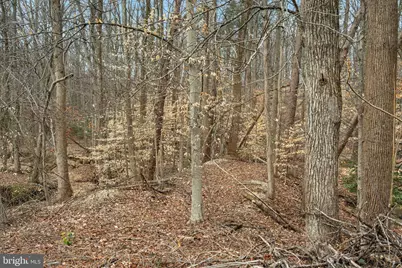 6106 Wesson Drive, Suitland, MD 20746 - Photo 5