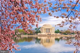 18311 Queen Anne Bridge Rd, Bowie, MD 20716 - Photo 31