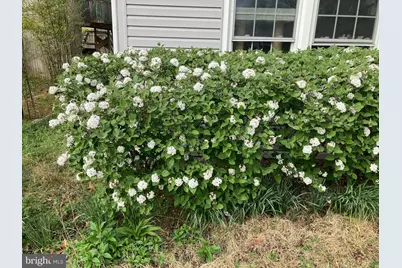 12414 Starlight Lane, Bowie, MD 20715 - Photo 13