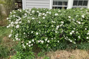 12414 Starlight Ln, Bowie, MD 20715 - Photo 13