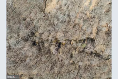 16420 Cedar Lawn Drive, Waldorf, MD 20601 - Photo 9