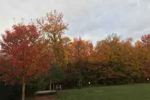 7800 Mystic River Terrace, Glenn Dale, MD 20769 - Photo 97