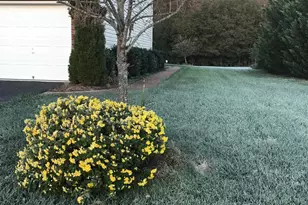 7800 Mystic River Terrace, Glenn Dale, MD 20769 - Photo 95