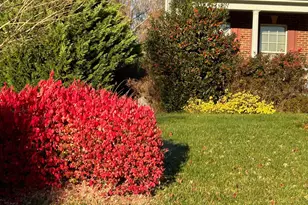 7800 Mystic River Terrace, Glenn Dale, MD 20769 - Photo 101