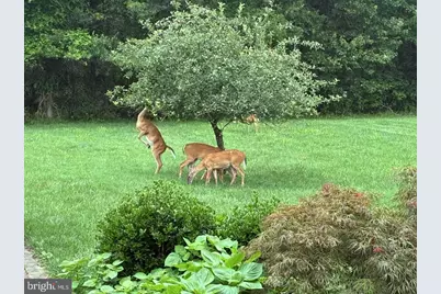 7800 Mystic River Terrace, Glenn Dale, MD 20769 - Photo 87