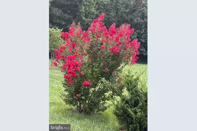 7800 Mystic River Terrace, Glenn Dale, MD 20769 - Photo 103