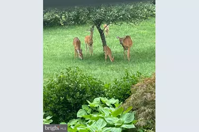 7800 Mystic River Terrace, Glenn Dale, MD 20769 - Photo 89