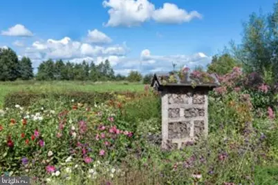 12501 Terrabrooke Avenue, Brandywine, MD 20613 - Photo 35