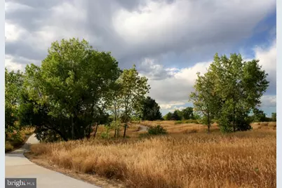 12501 Terrabrooke Avenue, Brandywine, MD 20613 - Photo 33