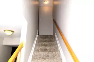 7424 Belgravia Ln, Hyattsville, MD 20785 - Photo 3