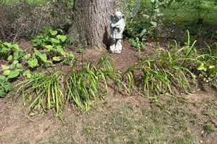 4808 Riverdale Rd, Riverdale, MD 20737 - Photo 35