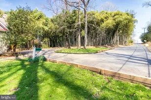 3300 Rosemary Ln, Hyattsville, MD 20782 - Photo 11