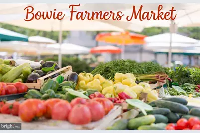 14313 Jericho Park Road, Bowie, MD 20715 - Photo 7