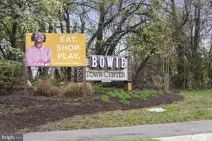 16402 Euro Ct, Bowie, MD 20716 - Photo 99