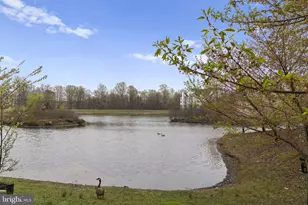 16402 Euro Ct, Bowie, MD 20716 - Photo 95