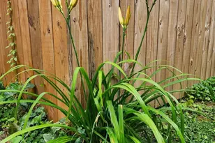 5713 Pontiac, Berwyn Heights, MD 20740 - Photo 43