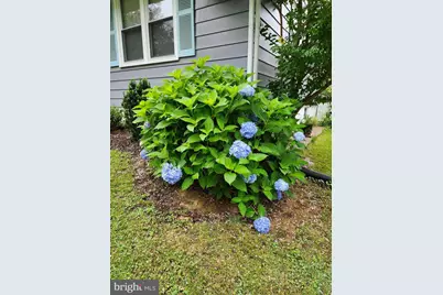 5713 Pontiac, Berwyn Heights, MD 20740 - Photo 13