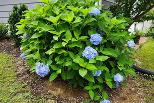 5713 Pontiac, Berwyn Heights, MD 20740 - Photo 13