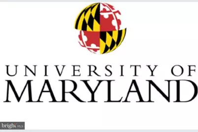 9035 49th Place, College Park, MD 20740 - Photo 29