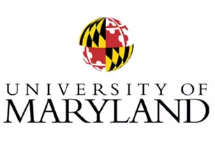 9035 49th Pl, College Park, MD 20740 - Photo 29