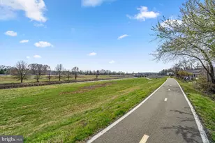 4905 Decatur St, Hyattsville, MD 20781 - Photo 23