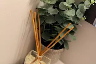 2218 Dawn Ln, Temple Hills, MD 20748 - Photo 23