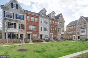 7205 Barrberry Ln, Beltsville, MD 20705 - Photo 43