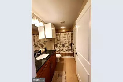155 Potomac #908, National Harbor, MD 20745 - Photo 29