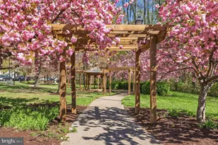 4006 Eager Terrace, Bowie, MD 20716 - Photo 35