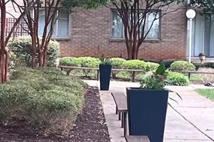 4410 Oglethorpe, Hyattsville, MD 20781 - Photo 51