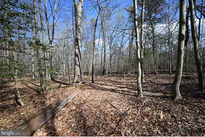 18109 Livingston Road, Accokeek, MD 20607 - Photo 15