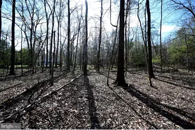 18109 Livingston Road, Accokeek, MD 20607 - Photo 13