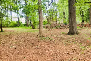4332 Franklin Terrace, Beltsville, MD 20705 - Photo 29