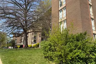 6011 Emerson St, Bladensburg, MD 20710 - Photo 17