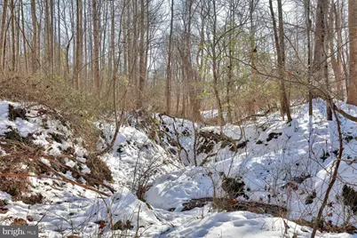 13729 Martin Road, Brandywine, MD 20613 - Photo 19