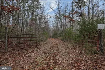 13729 Martin Road, Brandywine, MD 20613 - Photo 5