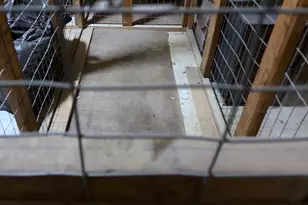 10239 Prince Pl, Upper Marlboro, MD 20774 - Photo 21