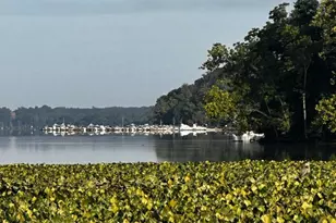 13408 Kris Ran Ct, Fort Washington, MD 20744 - Photo 43