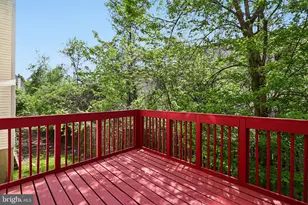 3723 Pogonia Ct, Hyattsville, MD 20784 - Photo 57