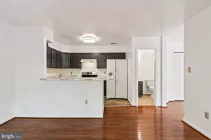 3723 Pogonia Ct, Hyattsville, MD 20784 - Photo 29