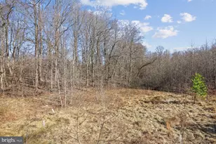 1910 Lake Forest Dr, Upper Marlboro, MD 20774 - Photo 51