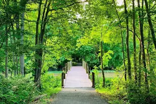 [Address not provided], Upper Marlboro, MD 20774 - Photo 29