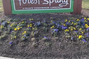 7161 Cross St, District Heights, MD 20747 - Photo 9