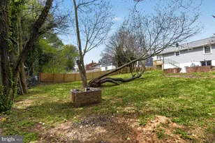 6019 Jamestown Rd, Hyattsville, MD 20782 - Photo 23